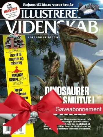 Illustreret Videnskab julegave gavekort