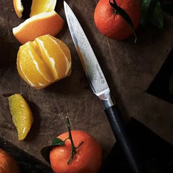 Gastro abonnement + Utility kniv fra Gastro Tools
