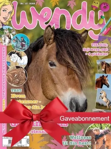 Wendy julegave gavekort